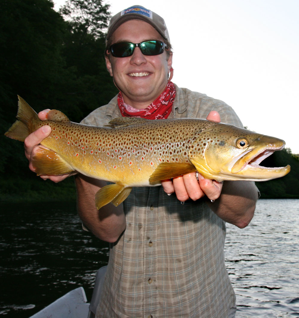 Dry Fly Fishing in Border Waters