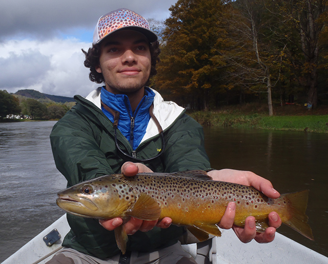 Peter found a brown showing off it's fall coloring. Photo by Bruce Miller