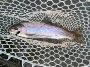 Ron with a rainbow on the wooly bugger yesterday