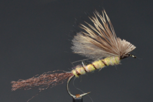 March_Brown_Emerger_CRS